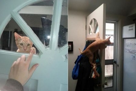смешно